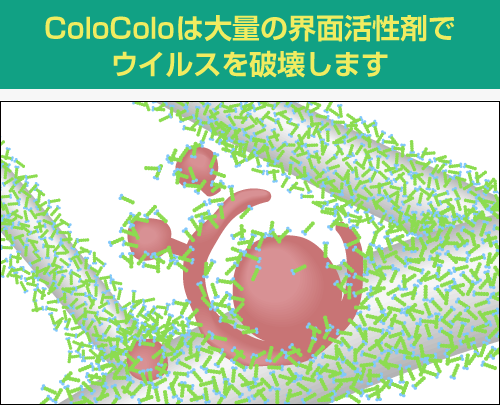 ColoColoは大量の界面活性剤でコロナウイルスを破壊します