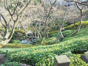 東京に設置（八芳園）