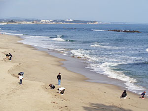 茨城伊師浜海岸にに設置）