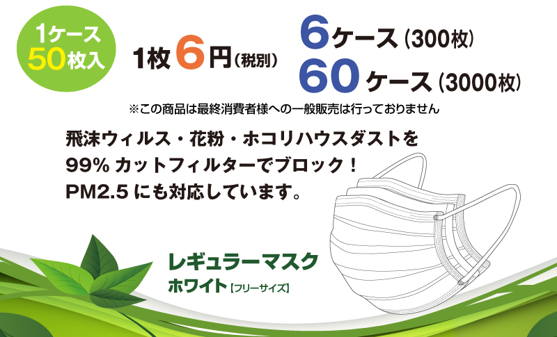 マスク50枚入り6ケース１枚９円